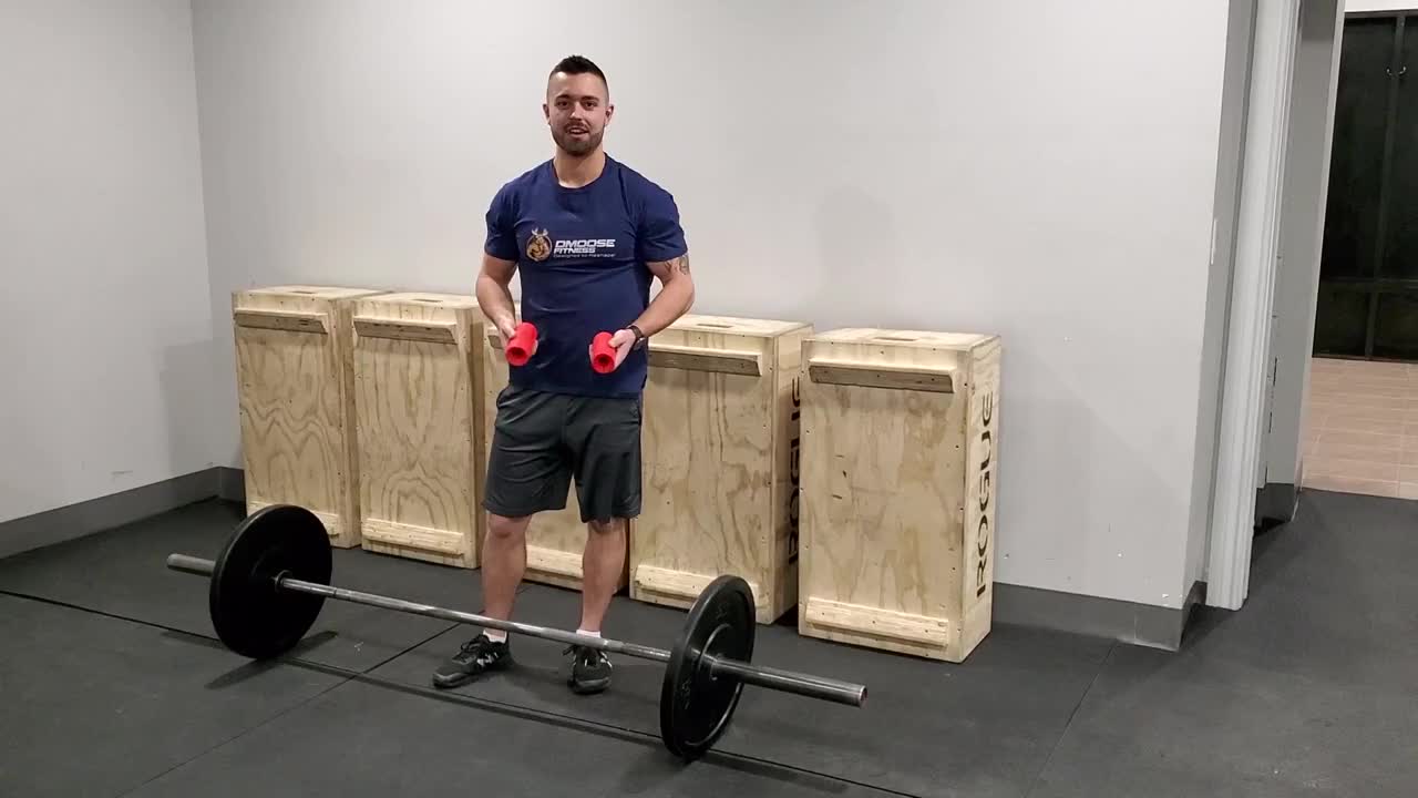 How to Use Thick Bar Fat Grips | Dmoose Fitness