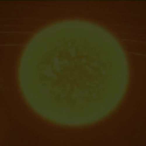Birth of the Solar System